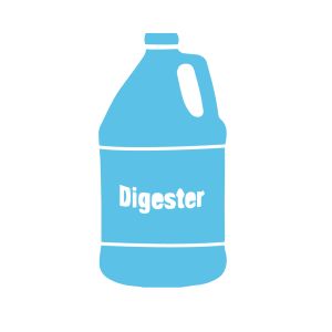 BACTERIA ENZYME DIGESTER